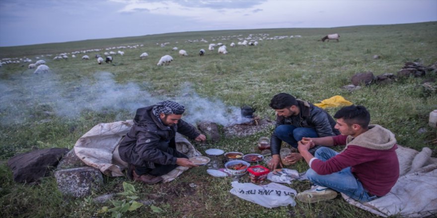 Çobanların iftarı da sahuru da merada geçiyor