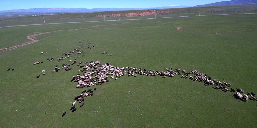 Yasak kalktı, tarım ve hayvancılık atağa geçti