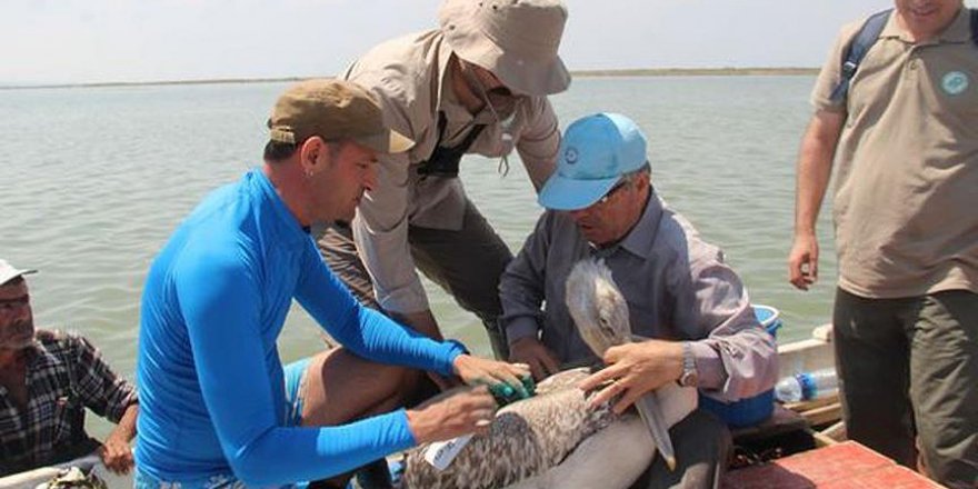 'Pelikan Karina' uydudan takip edilecek