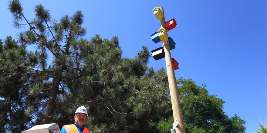 Bir çift kuş sayesinde yüz yuva kuruldu