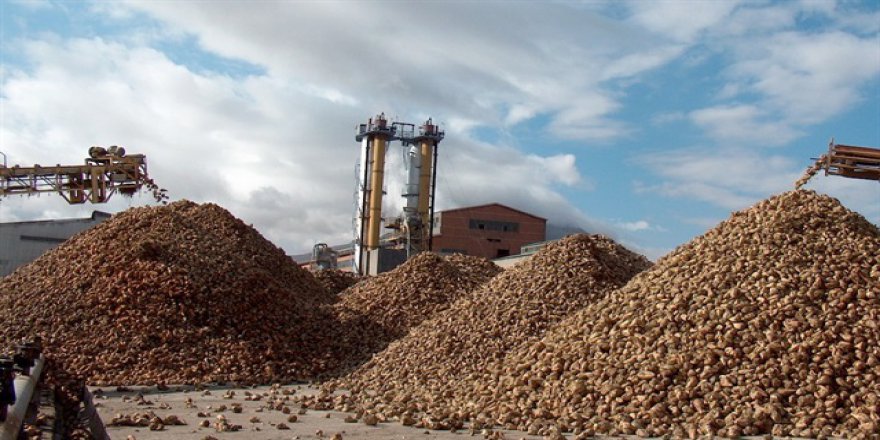 Sivas'ta yem fabrikası ve süt işleme tesisi temeli atıldı