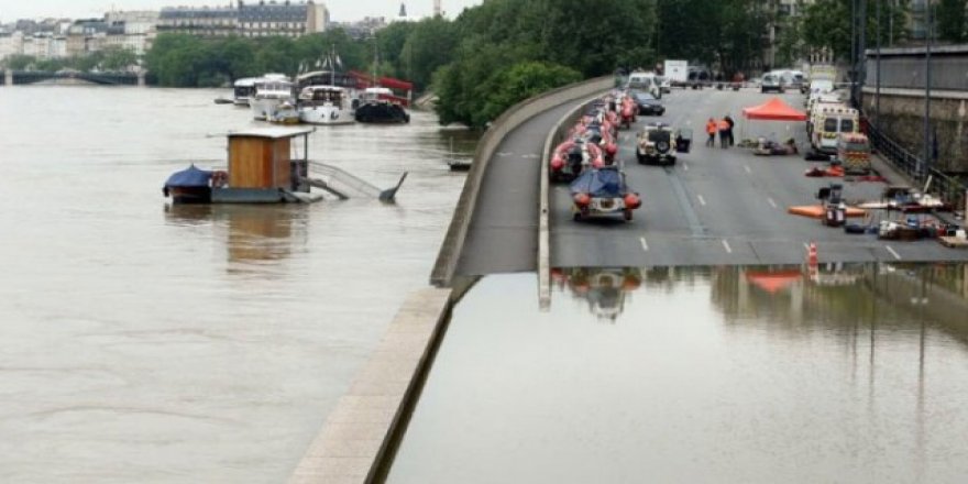 Fransa'da 12 bin tavuk telef oldu