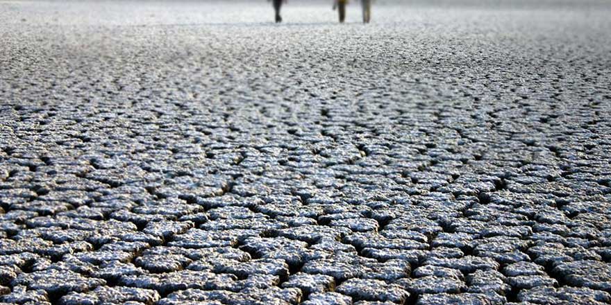 İnsanoğlu yüzünden her yıl 12 milyon hektar toprak kayboluyor