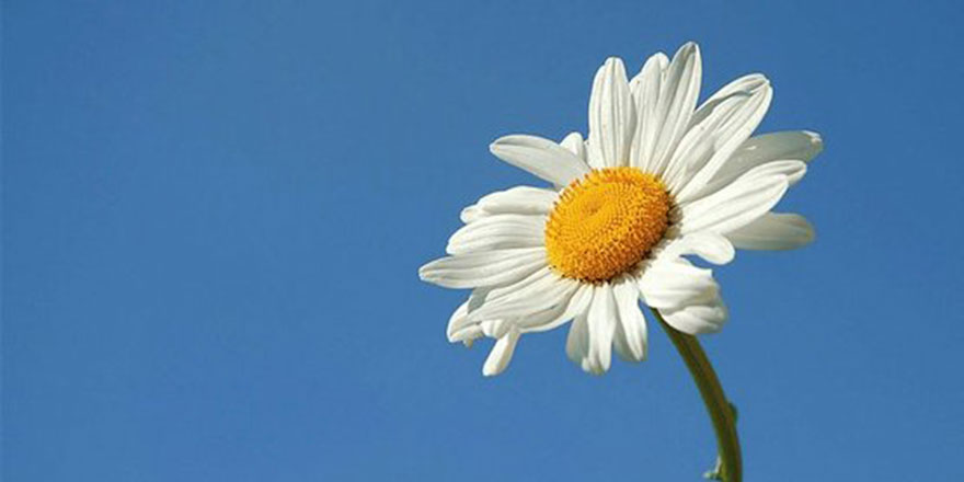 Bediüzzaman’ın Allah'ı anlatmada geliştirdiği yenilik