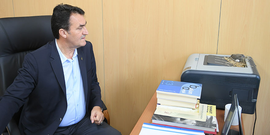 Makam odasını mesken tutan kumruların yavrusu oldu