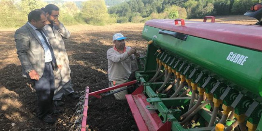 Mengen'de sertifikalı nohut ekildi
