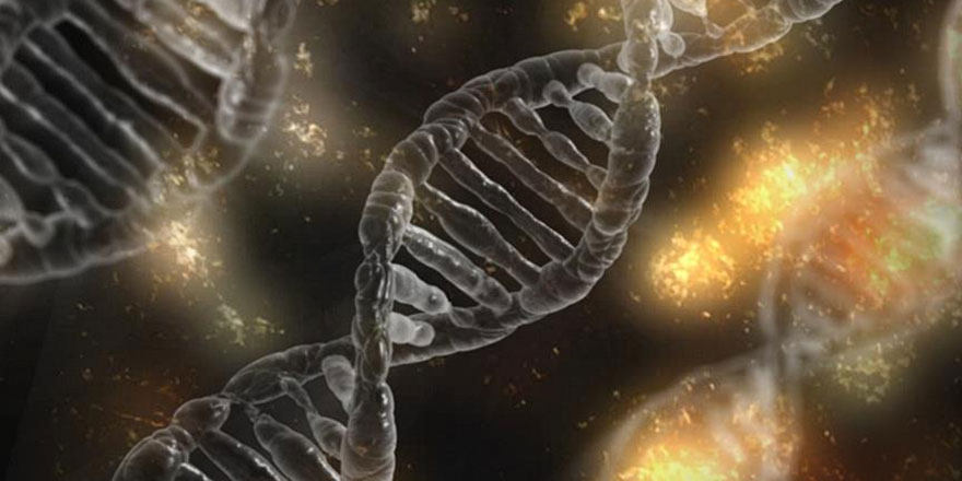 Ömür süremiz DNA'mıza gizlenmiş iddiası