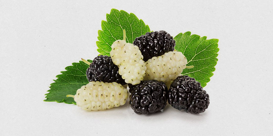 Kainat eczanesinden dut meyvesinin vücuda yaptığı etki