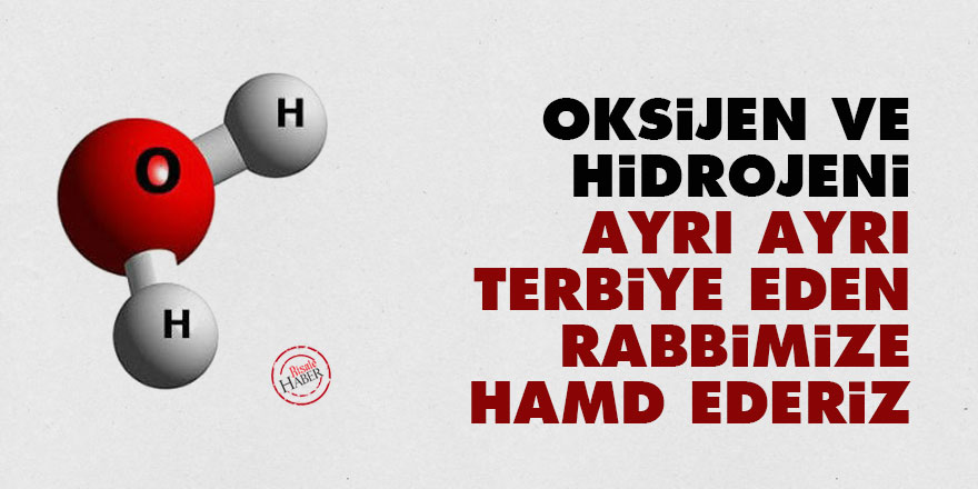 Oksijenle hidrojeni ayrı ayrı terbiye eden Rabbimize hamd ederiz