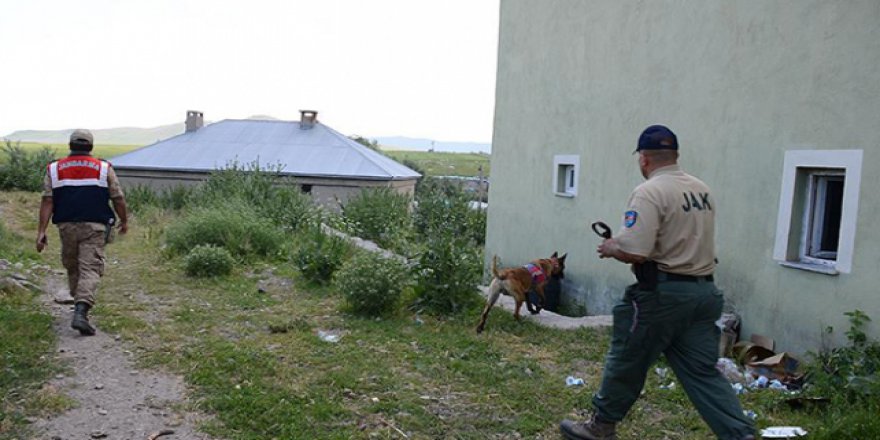 Ağrı'da kaybolan Leyla'yı arama çalışmaları sürüyor