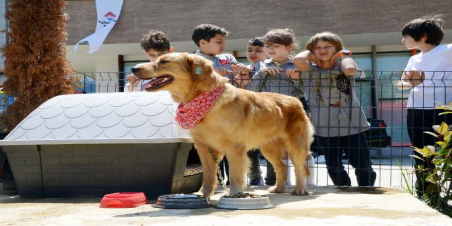 Trabzon'da öğrencilere hayvan sevgisi aşılanacak