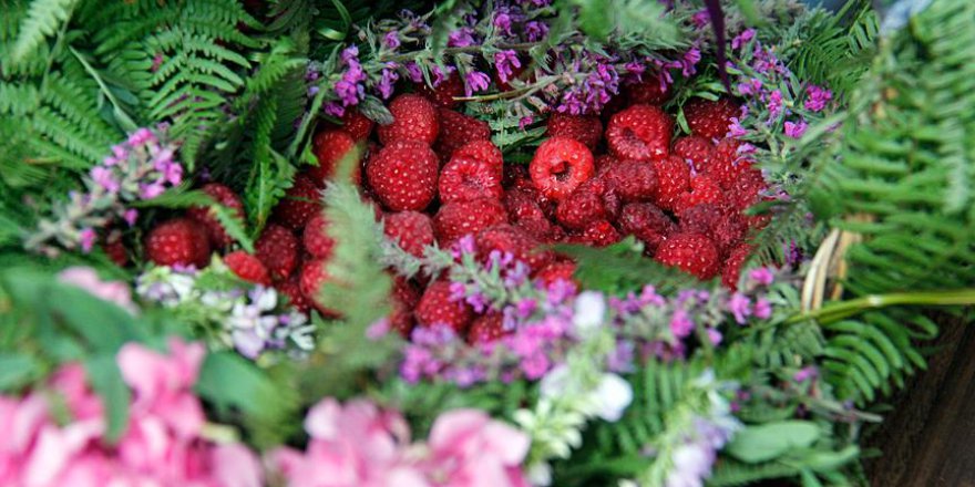 Bursa'nın meşhur festivali sürüyor