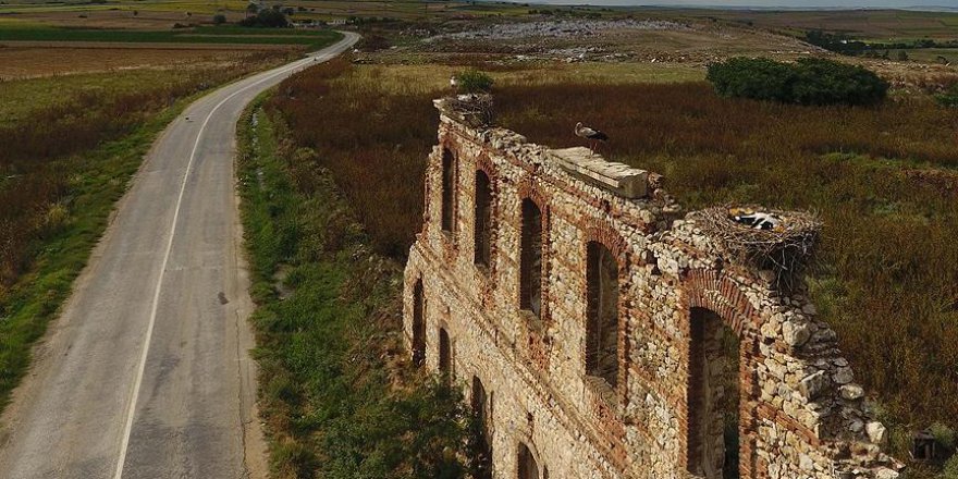 Tarihi hastaneden kalan tek duvar leyleklere yuva oldu
