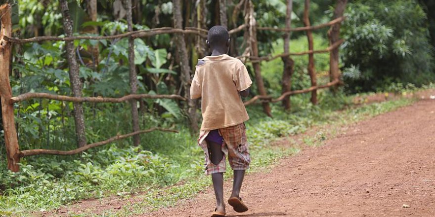 Afrika'yı 2030 yılında büyük felaket bekliyor