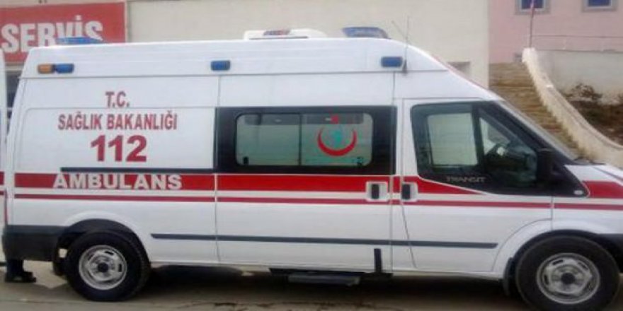 Ankara'da sokak köpeklerinin saldırısına uğrayan çocuk yaralandı