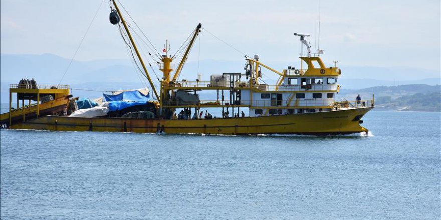 Orkinos Karadeniz'e bereketi ile geldi