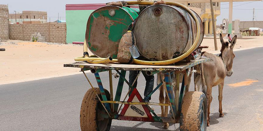Su için eşek 'Mercedes'i bekliyorlar