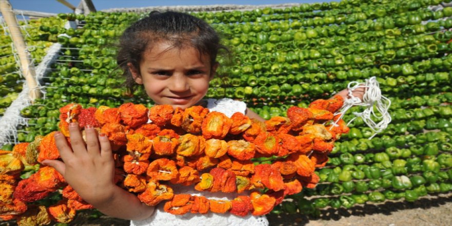Kışın tüketilecek kurutmalıklar hazırlanıyor