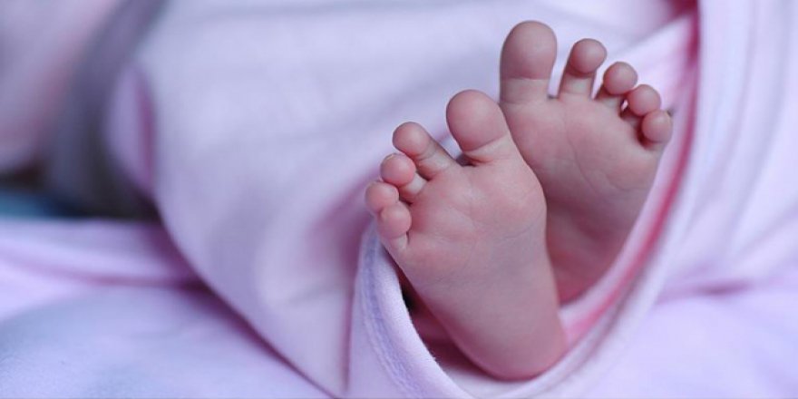 Bebeklerin kimlikleri eve gönderilecek