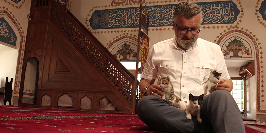 Kedilerimize camide hürmet gösteriyoruz