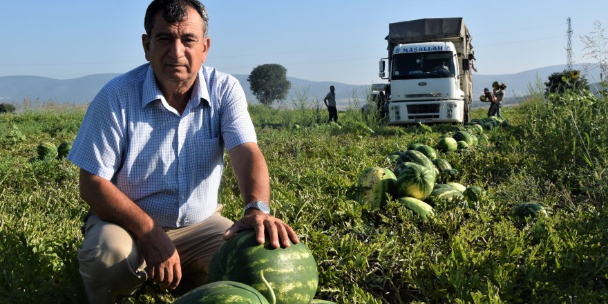 'Marmara'nın karpuzcusu' 90 bin tonluk rekolte bekliyor