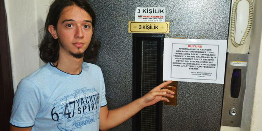 Güvercin yuvası asansör kapattı