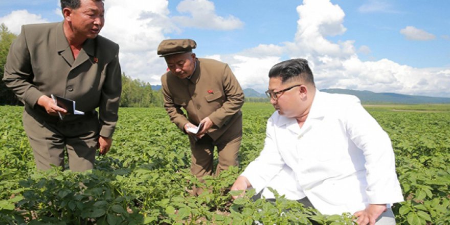 Kuzey Kore patatesi ABD'ye tercih etti