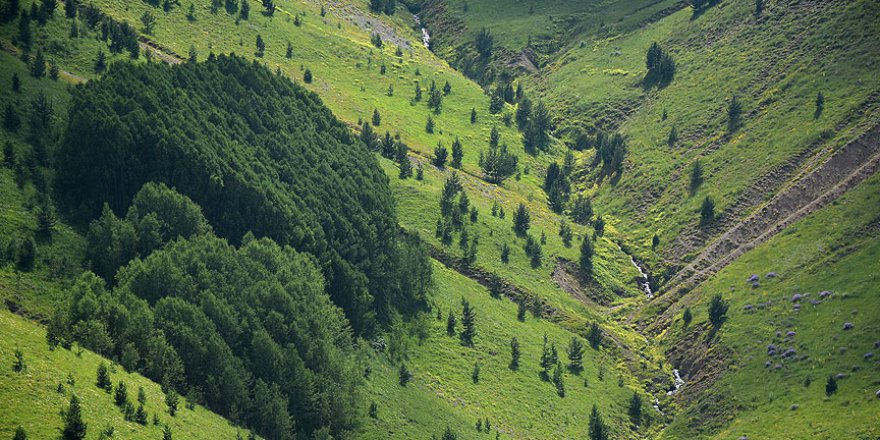 Gümüşhane yaylaları manzaları ile tefekküre çağırıyor