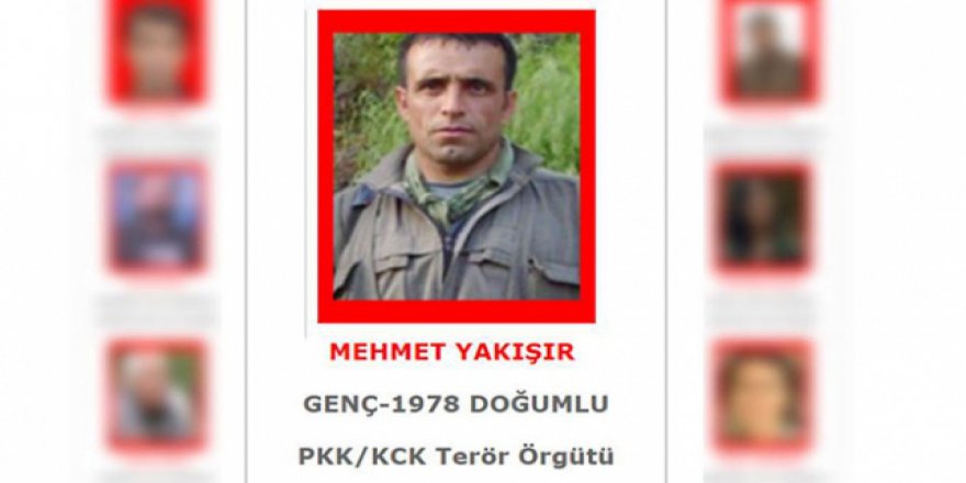 Eren Bülbül'ü şehit eden terörist öldürüldü