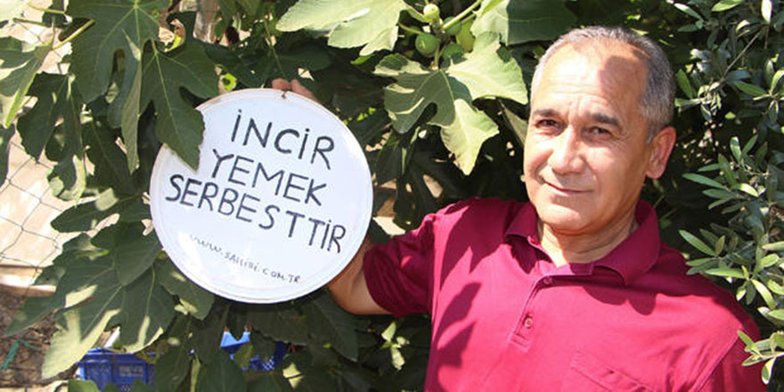 İncirler için çok üzülyordu bu tabelayı astı