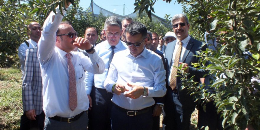 Köylülerin meyve bahçesi projesi Bakan Pakdemirli'den övgü aldı