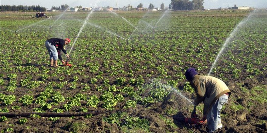 Van'da çiftçilerin su sevinci