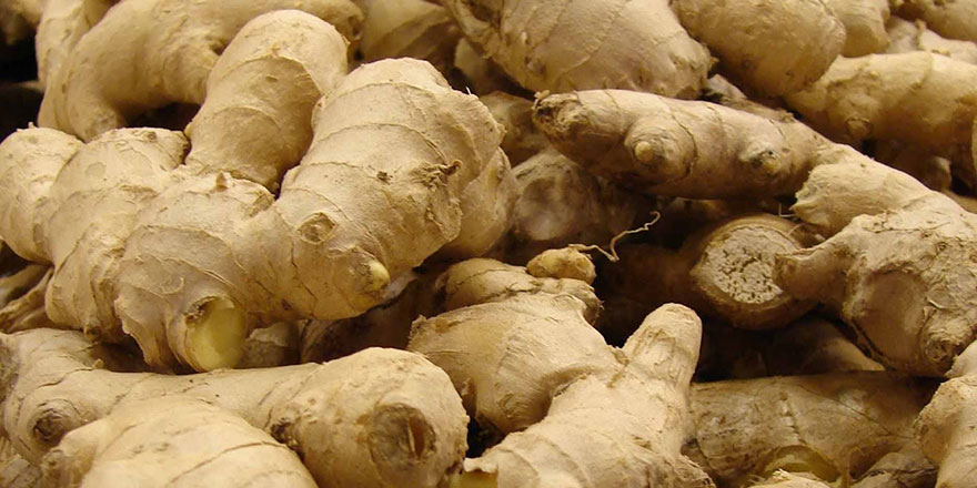 Kainat eczanesinden Zencefil her derde deva