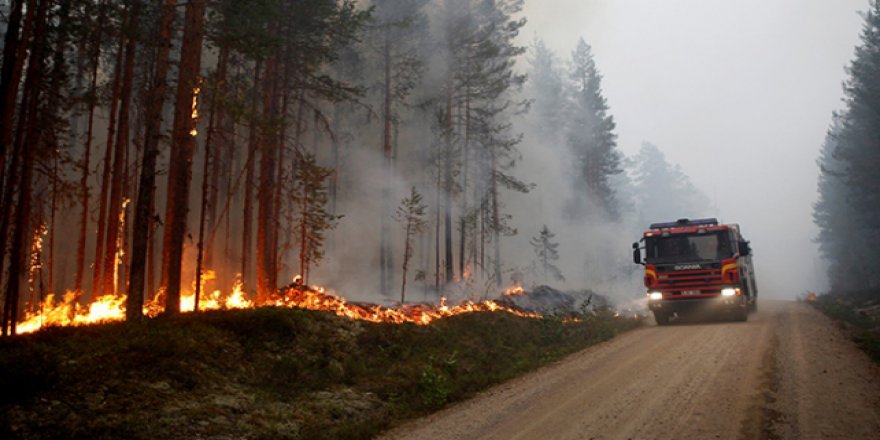 İsveç'te orman yangınları durdurulamadı