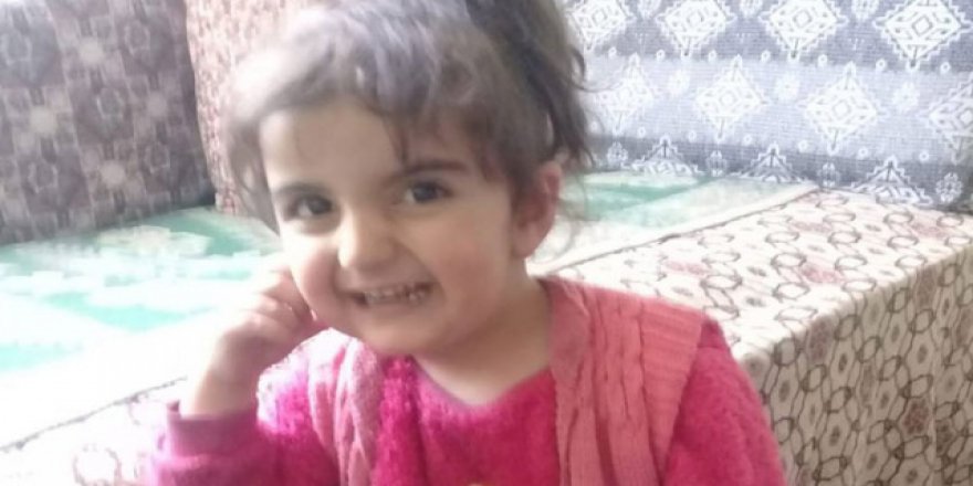 Tokat'ta kaybolan küçük Evrim'i arama çalışmaları sürüyor