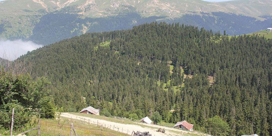 Giresun'da bir uzman çavuş şehit oldu