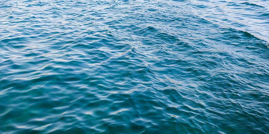 İmam Şafii, 'denizden babam çıksa yerim' demiş mi?