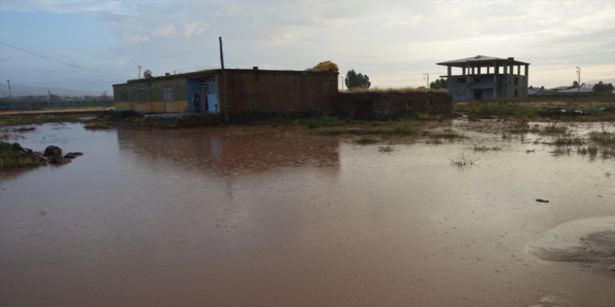 Ağrı'da yoğun yağış nedeniyle taşkınlar yaşandı