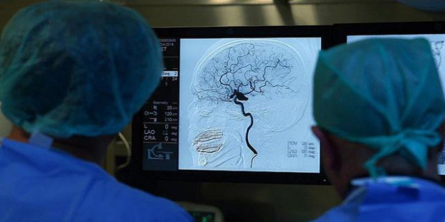 İnmelerin yüzde 30'u hava kirliliğinden