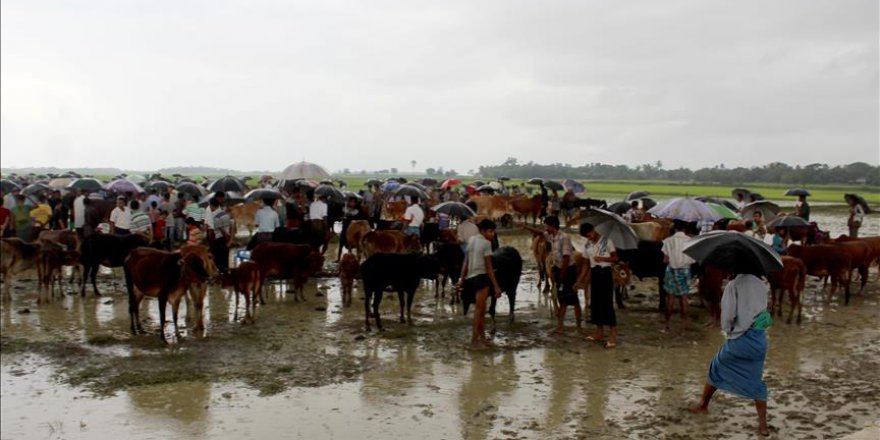 BM'den Arakan krizinin çözümüne dair açıklama