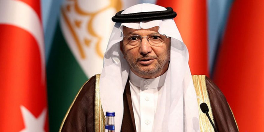 İslam İşbirliği Teşkilatı'nda Irkçı Wilders'e karikatür uyarısı