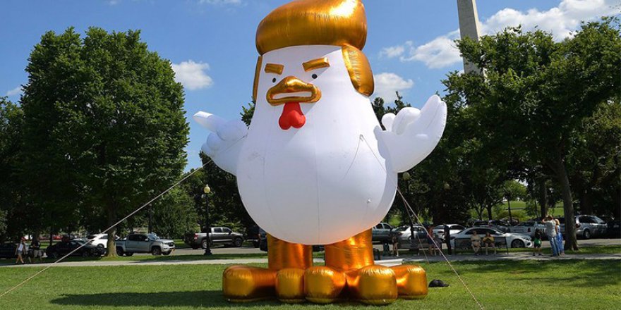 Trump bu kez de şişme tavuk ile protesto edildi