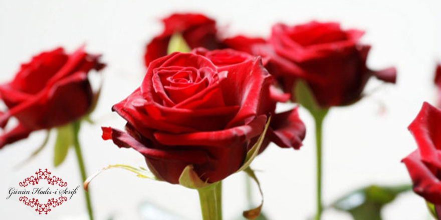 İnsanların arasını bozmak dini kökten kesmektir