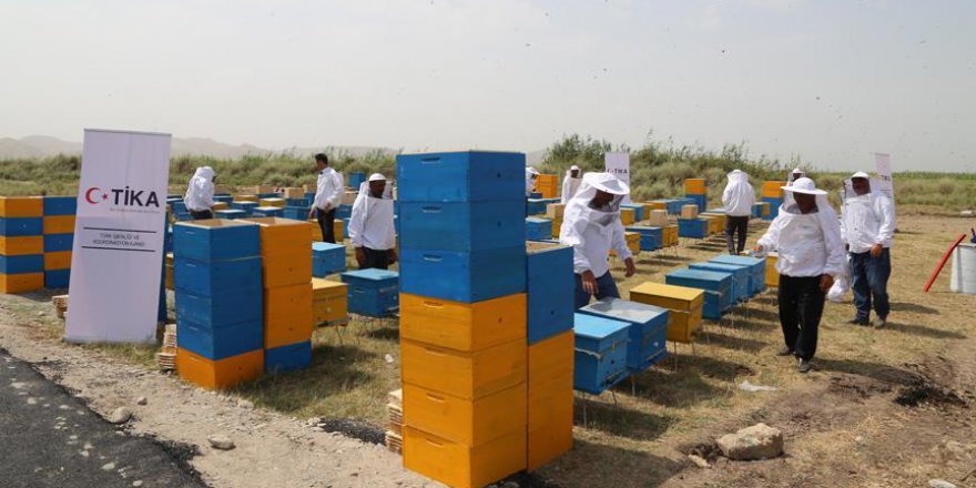 TİKA Çocuk Mercanlı'daki arıcılık ve seracılık projelerini tamamladı