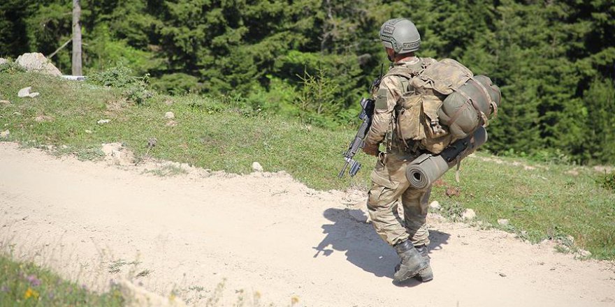 Terör örgütü PKK'ya temmuz ayında büyük darbe