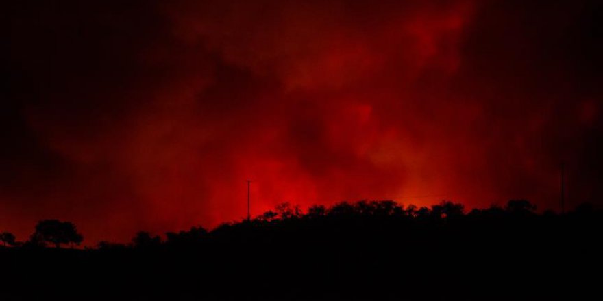 ABD'de orman yangınlarının biri bitmeden diğeri başlıyor