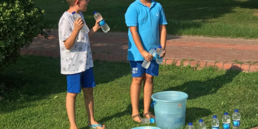 Su satarak sokak hayvanlarını besliyorlar