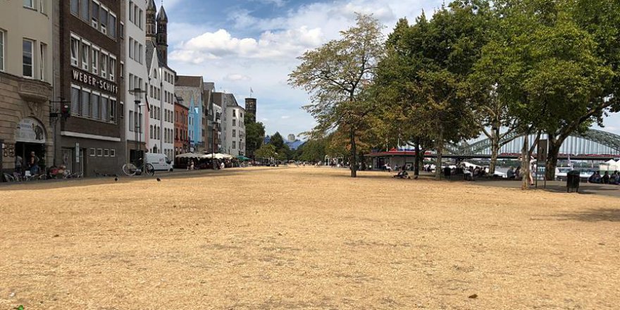 Rekor sıcaklar Almanya'da hayatı zorlaştırıyor