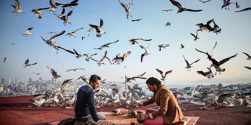 Anadolu Ajansı'na Rusya'dan ödül