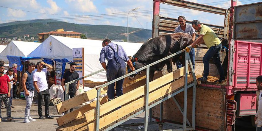 İstanbul'da kurban pazarları hazır